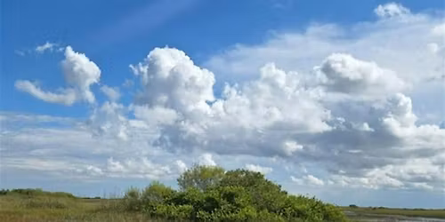Into The Quiet: A Tree Island Forest Bath