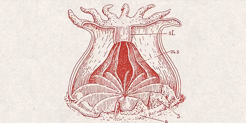 Newhvn aka A Burial At Sea \u2022 KuBa Jena