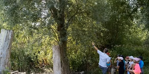 Balade naturaliste : Une nature \u00e0 (d\u00e9)peindre