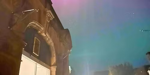 Live Musician - Scott Wallace