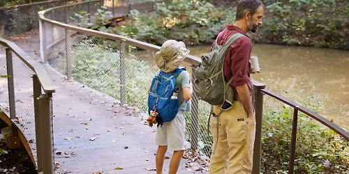 Family Nature Walk