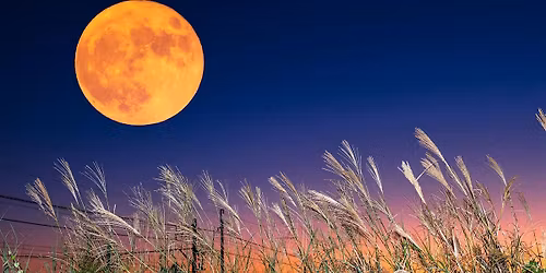 Outdoor Sound Bath Meditation (Donation-based)