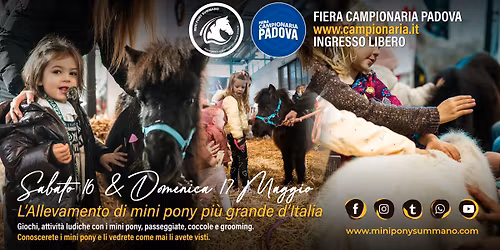Fiera Campionaria Padova 26 \ud83d\udc34 16\/17 Maggio 26 \ud83d\udc34 Allevamento Mini Pony Summano \ud83d\udc34