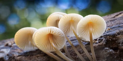 Choisir la Vie dans un monde en crise