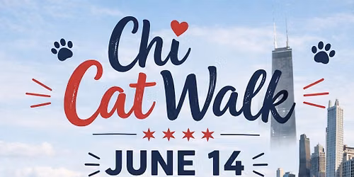 Chi CatWalk Return! 