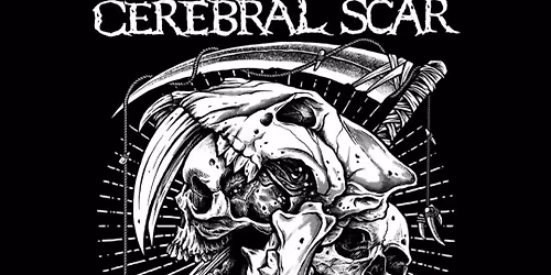 Cerebral Scar