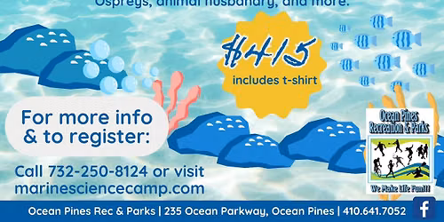 Marine Science Camp at Swim and Racquet Club beach