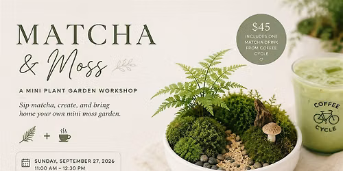 Matcha & Moss: A Mini Plant Garden Workshop