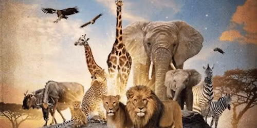 Serengeti: A Journey to the Heart of Africa