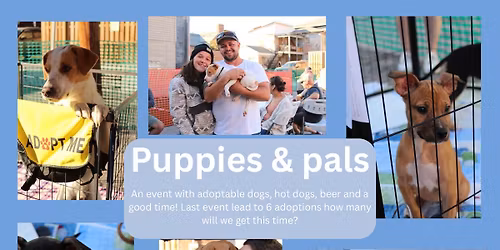 Puppies and Pals!