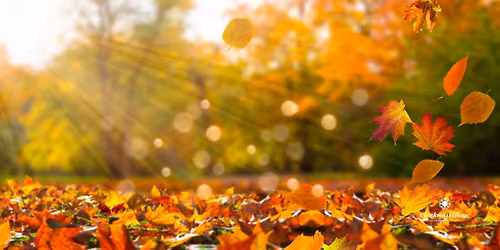 Historic Walk: Clarkson Village History Trail (Part Two)