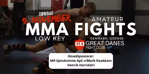 MMA Low Key st\u00e6vne | Odense C