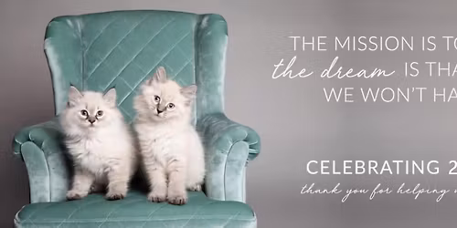 Cat Adoption Event with Santa