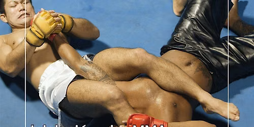 INICIACI\u00d3N A LAS MMA