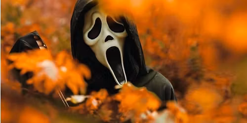 HALLOWEEN v \u010cajce