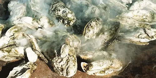 10th Annual Oyster Roast!