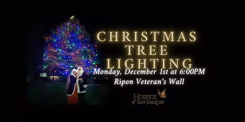 2025 Christmas Tree Lighting