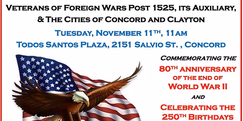 Veterans Day Ceremony in Concord