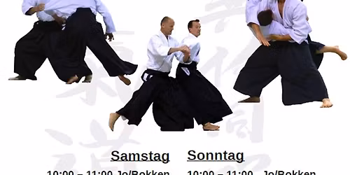 Aikido Seminar Leipzig 2025