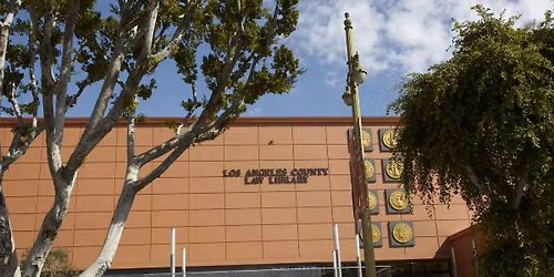 LIVE ZOOM: Civil Lawsuit Basics: Getting Documents to Prove Your Case