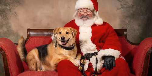 Picture Pawfect - Holiday Pictures with Santa at A1 Pet Emporium 