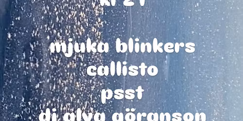 Mjuka blinkers, Callisto, Psst och dj Alva G\u00f6ranson p\u00e5 Sn\u00f6vit