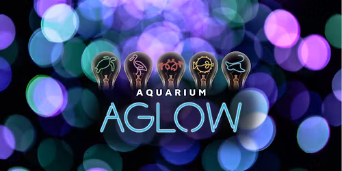 Aquarium Aglow (Select Nights)