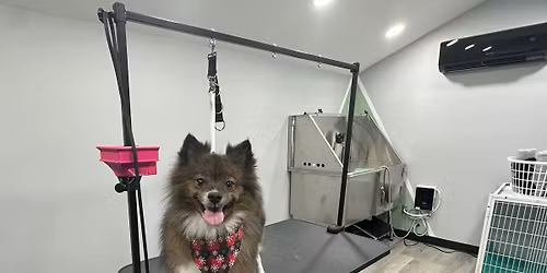 December Nail Trim Event