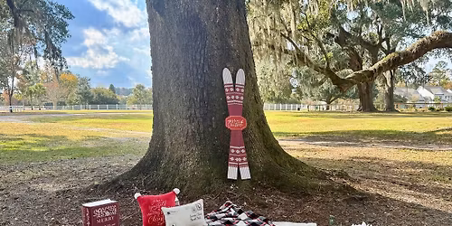 Christmas Mini Sessions