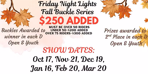 FRIDAY NIGHT LIGHTS BUCKLE SERIES- SHOW 5 OF 6