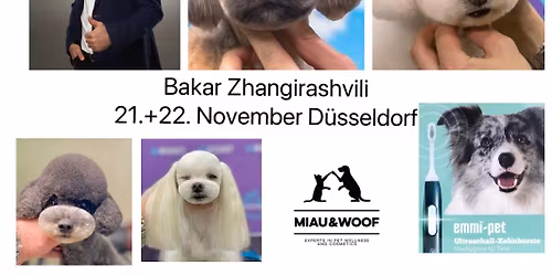 K\u00f6pfe-, Scheren-, Emmi Pet-, Miau&Woof-, B\u00fcrsten-, K\u00e4mmeschulung 