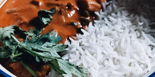 Plant Based Indian Cuisine (Vegan)