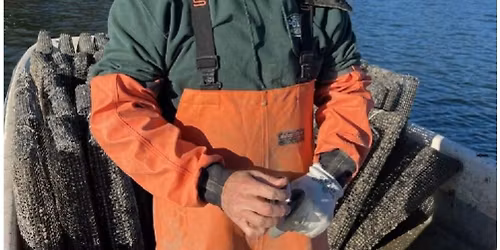 Sustainable Seafood with Bill Gerencer