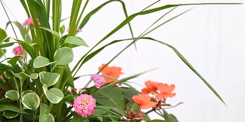 DIY: Spring Container Design