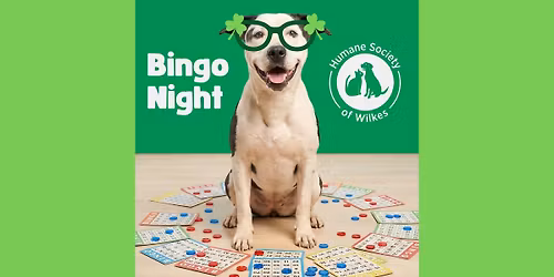 HSOW BINGO NIGHT! 