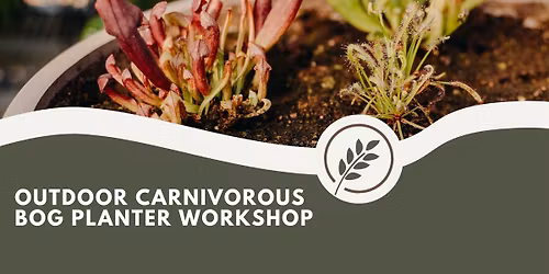 Outdoor Carnivorous Bog Planter Workshop