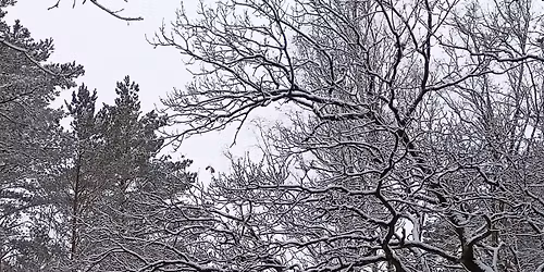 Castle Ultra Race Zima 