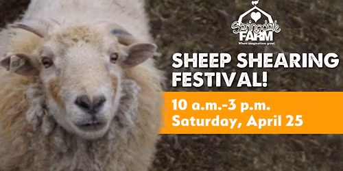 Sheep Shearing Festival
