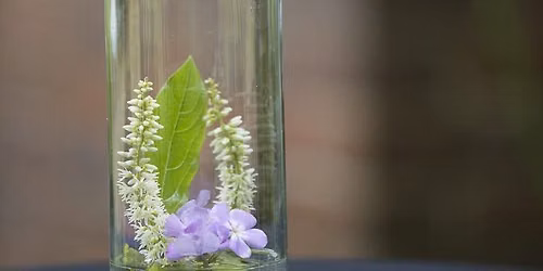 Go Native with Infused Vodkas