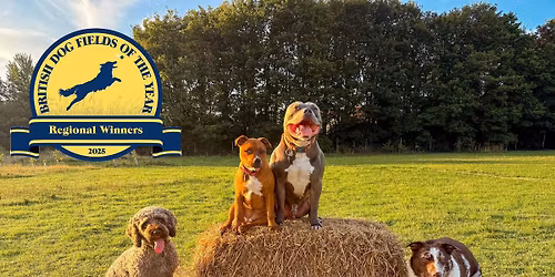 Dogfest 2026