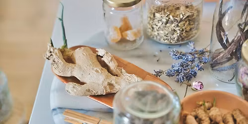 Herbs for the Menstrual Cycle