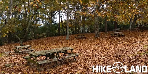 Cores de Outono: Mata Nacional do Vimeiro | Alcoba\u00e7a