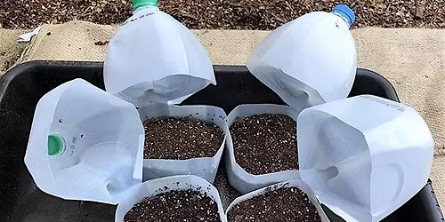 Winter Sowing Workshop with Master Gardeners Evening Session