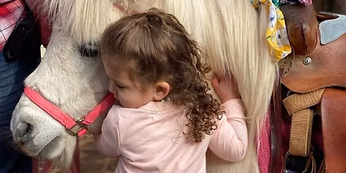 Pony Rides @Equifest 2026