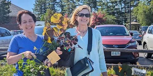 Plant Sale to Benefit Community Hospice House Gardens | The Big Little Garden