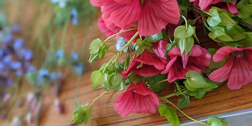 Planning your cut flower garden