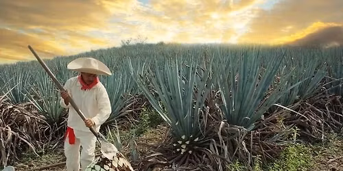 Terrarium x Liquid Mix Agave Fest!