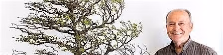 David DeGroot Bonsai Analysis - Design Improvement