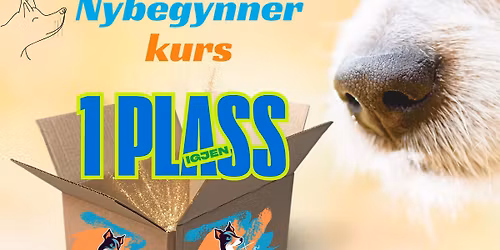 Nosework nybegynner kurs