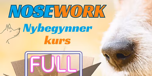 Nosework nybegynner kurs
